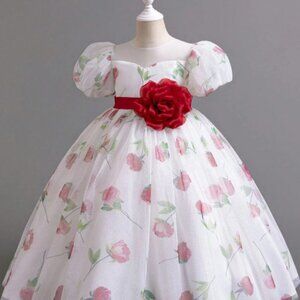 Girl’s Princess Floral Print Tulle Dress